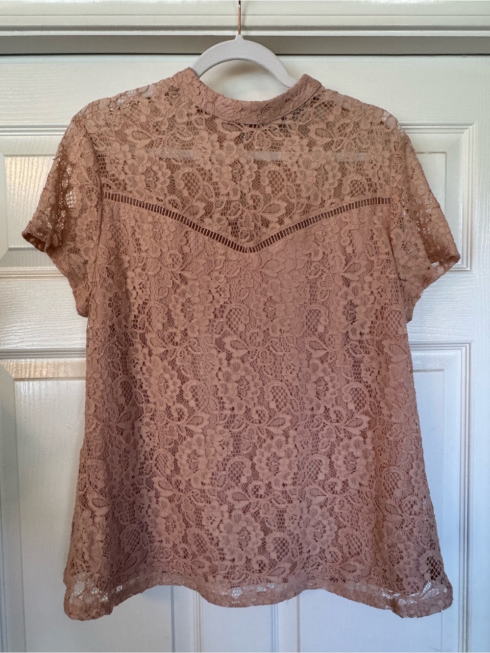 Fourteenth Place Blush Floral Lace Short Sleeve Blouse XL